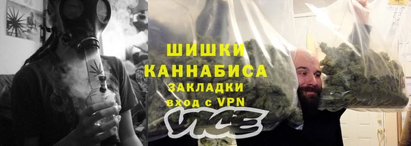 индика Саяногорск