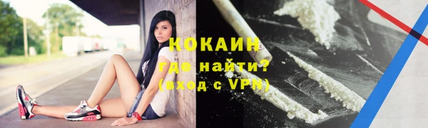 PSILOCYBIN Гвардейск