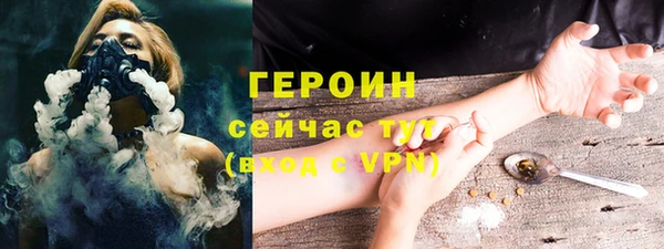 PSILOCYBIN Галич