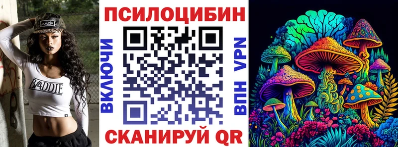 наркота  Гурьевск  Псилоцибиновые грибы MAGIC MUSHROOMS 