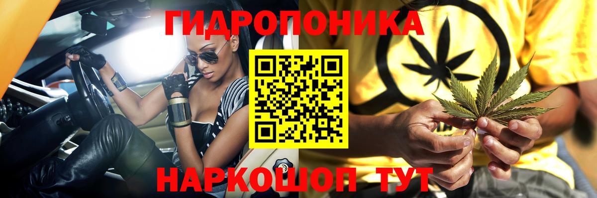 МАРИХУАНА AK-47  Вход с VPN  МАРИХУАНА AK-47  Гурьевск  Бошки марихуана Amnesia 